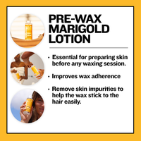 Thumbnail for Pre Wax Cleanser, Marigold (Calendula) - thatswaxup -  - Pre Waxing Skin Care - waxup hair removal wax body waxing kit women and men professional waxing supplies
